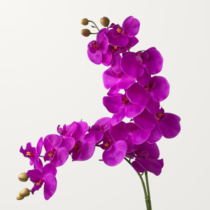Phalaenopsis Orchid Large – Magenta (Real Touch) - view 2