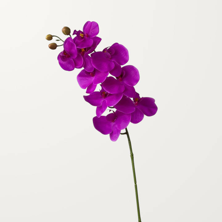 Phalaenopsis Orchid Large – Magenta (Real Touch) - view 3