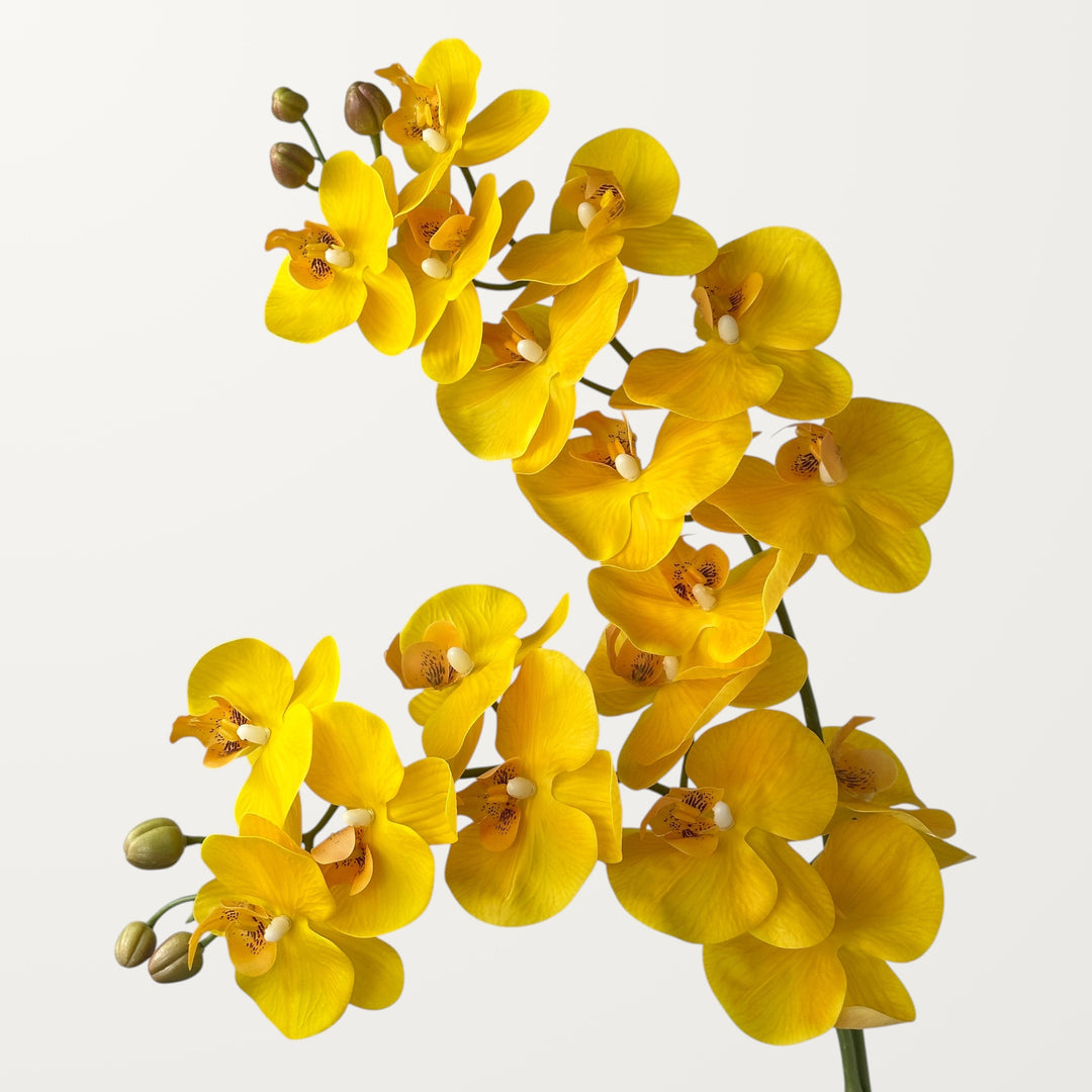 Phalaenopsis Orchid Large – Yellow (Real Touch) - view 2