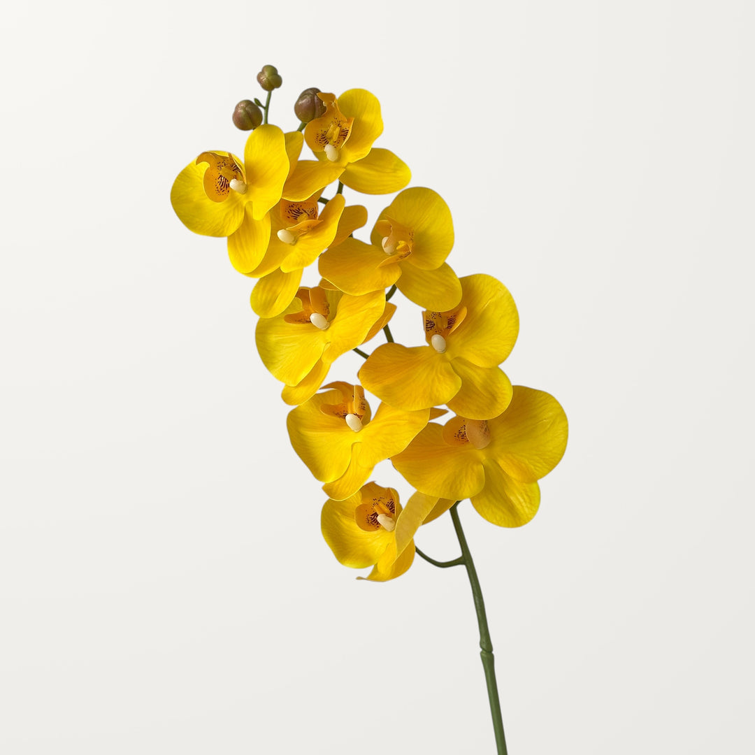 Phalaenopsis Orchid Large – Yellow (Real Touch) - view 3