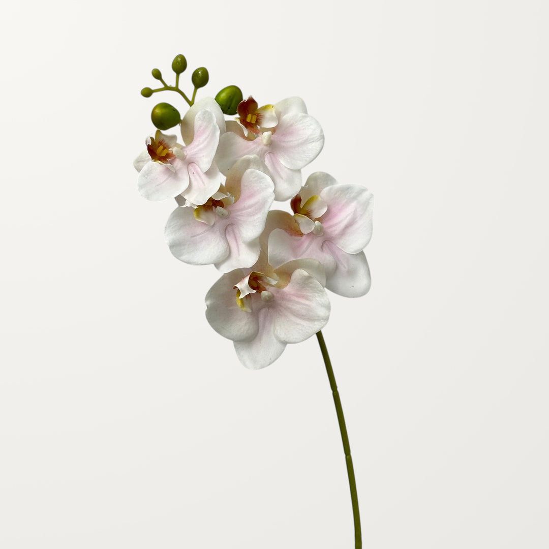 Phalaenopsis Orchid Small – Blush Pink (Real Touch) - view 3