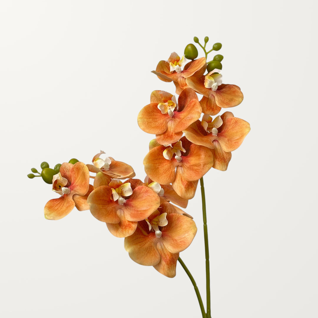 Phalaenopsis Orchid Small – Peach Orange (Real Touch) - view 2