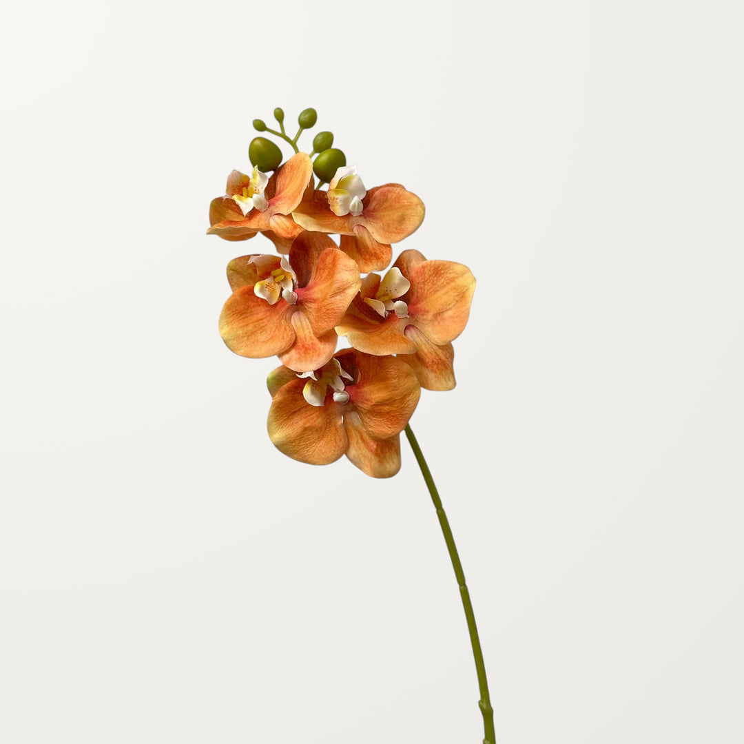 Phalaenopsis Orchid Small – Peach Orange (Real Touch) - view 3
