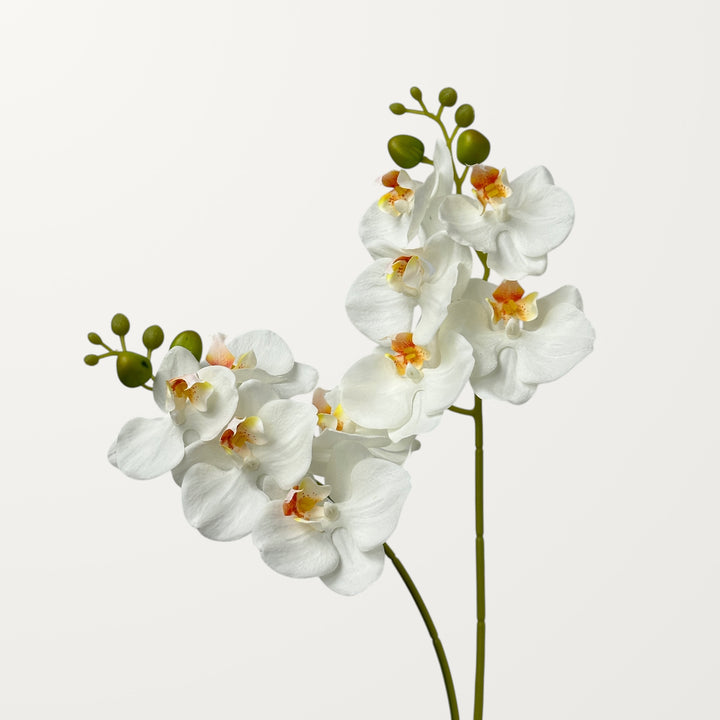 Phalaenopsis Orchid Small – White (Real Touch) - view 2