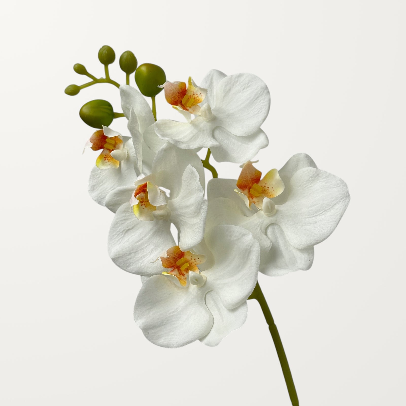 Phalaenopsis Orchid Small – White (Real Touch)