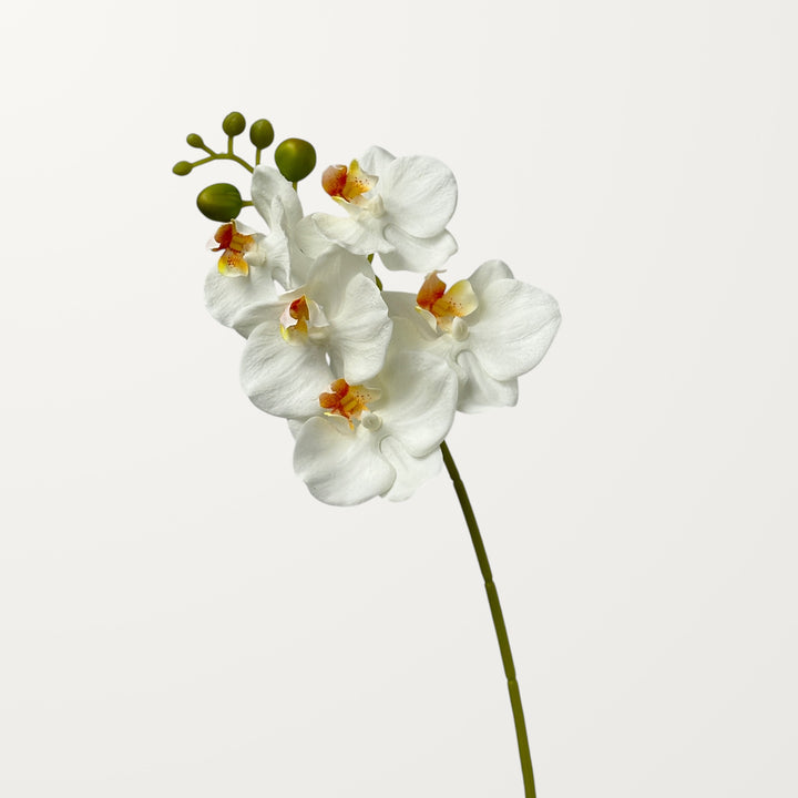 Phalaenopsis Orchid Small – White (Real Touch) - view 3