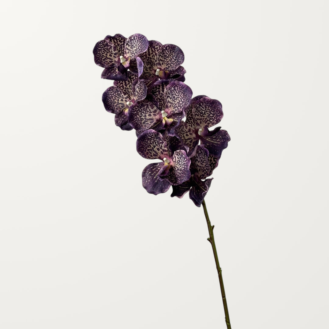 Vanda Orchid – Black Purple (Real Touch) - view 3