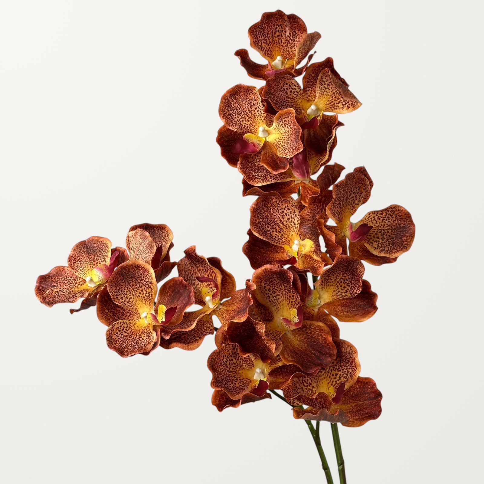 Vanda Orchid – Burnt Orange (Real Touch) - view 2