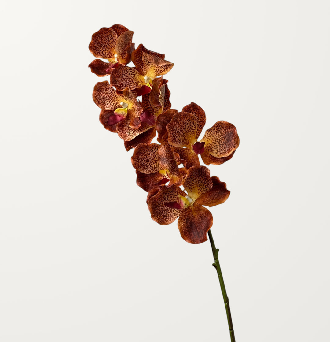 Vanda Orchid – Burnt Orange (Real Touch) - view 3