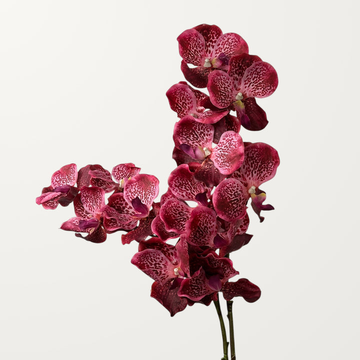 Vanda Orchid – Dark Burgundy (Real Touch) - view 2