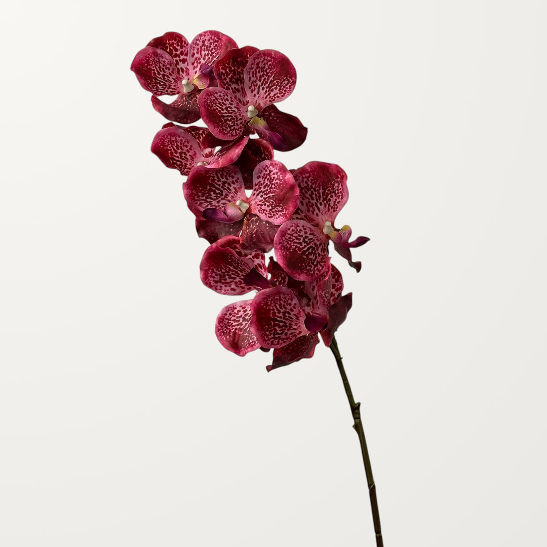 Vanda Orchid – Dark Burgundy (Real Touch) - view 3