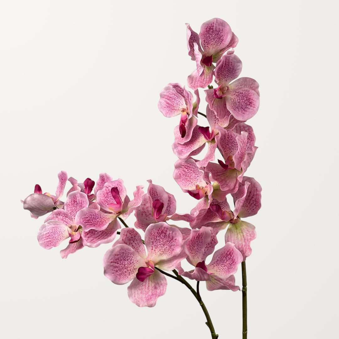 Vanda Orchid – Dusty Pink (Real Touch) - view 2