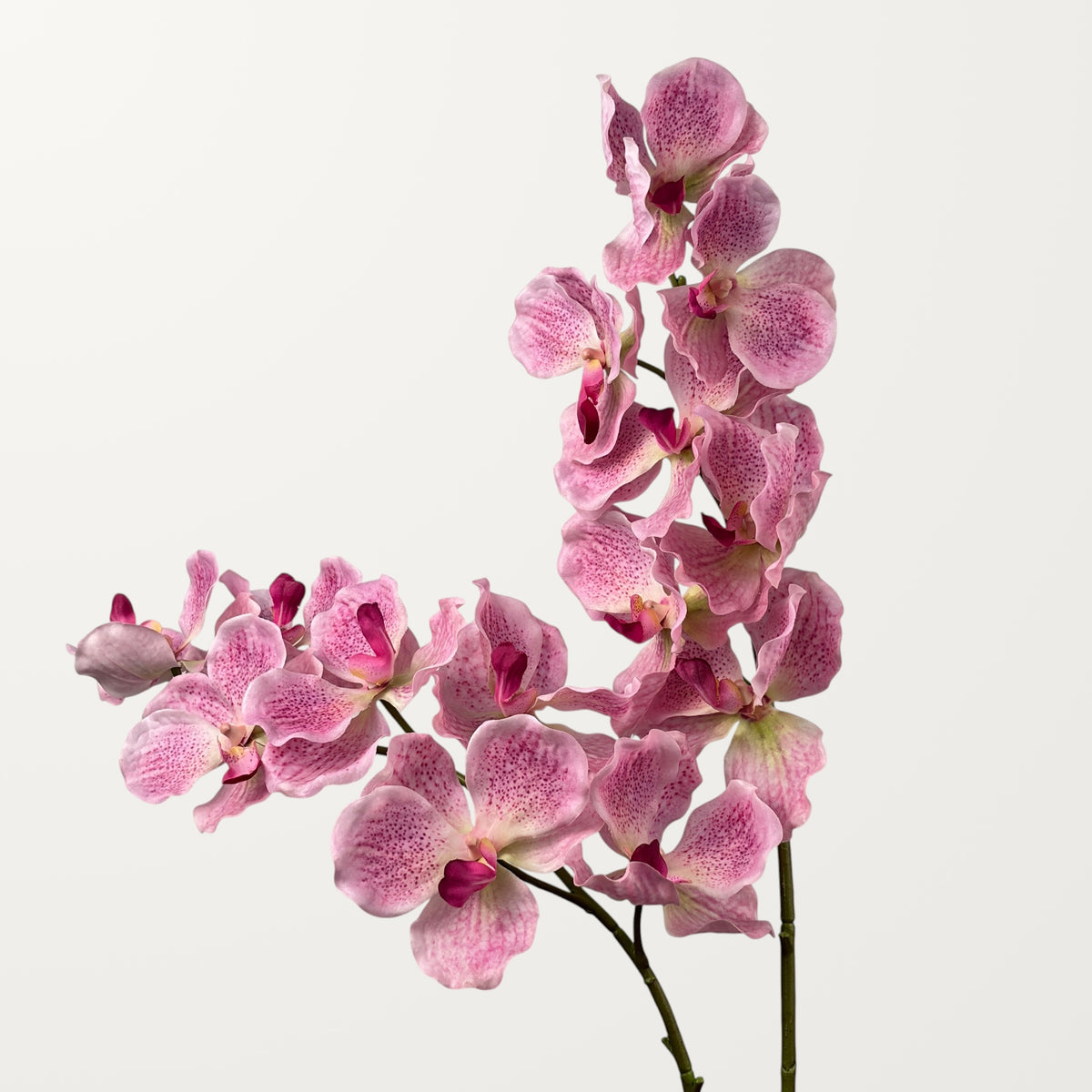 Vanda Orchid – Dusty Pink (Real Touch) - view 2