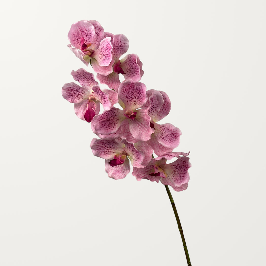 Vanda Orchid – Dusty Pink (Real Touch) - view 3