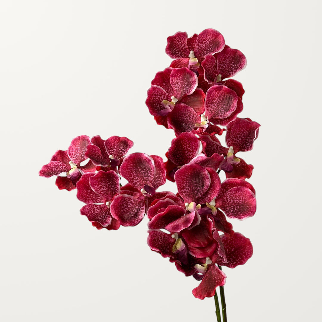 Vanda Orchid – Hot Pink (Real Touch) - view 2