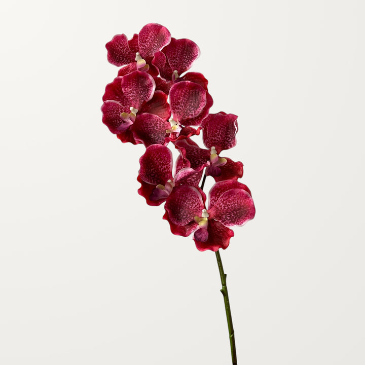 Vanda Orchid – Hot Pink (Real Touch) - view 3