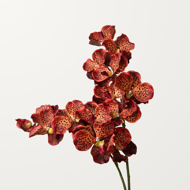 Vanda Orchid – Olive Red (Real Touch) - view 2