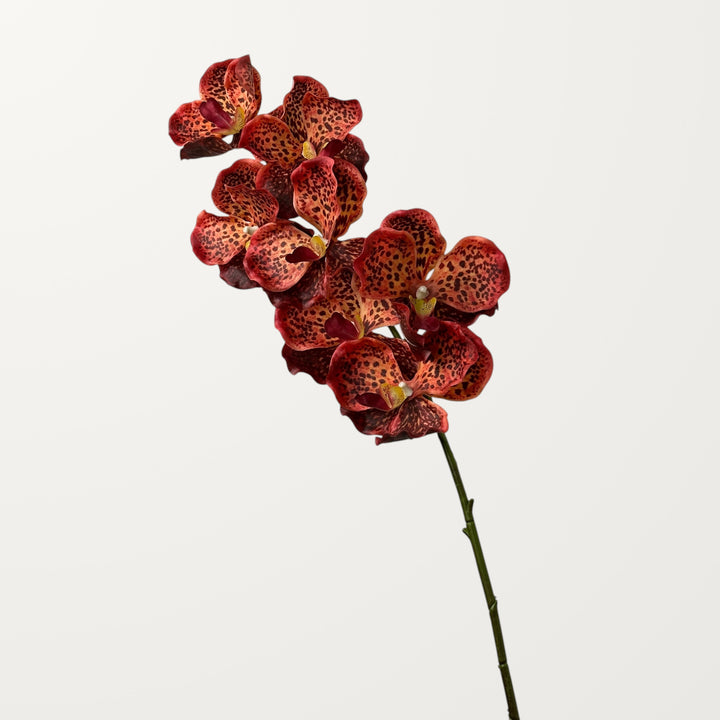 Vanda Orchid – Olive Red (Real Touch) - view 3