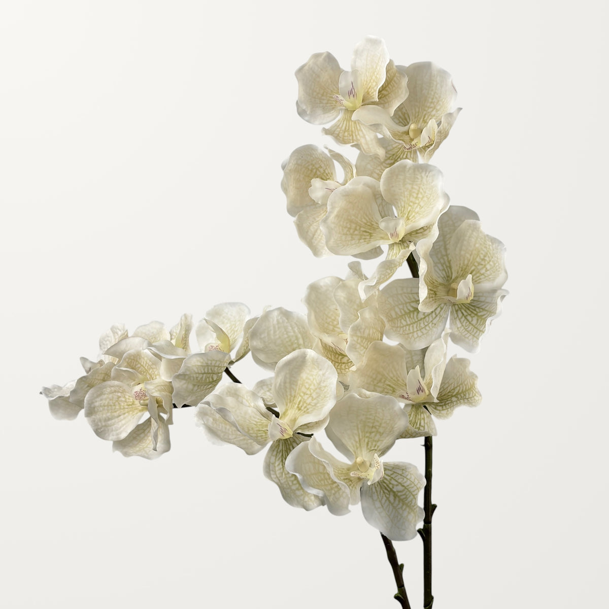 Vanda Orchid – White (Real Touch) - view 2