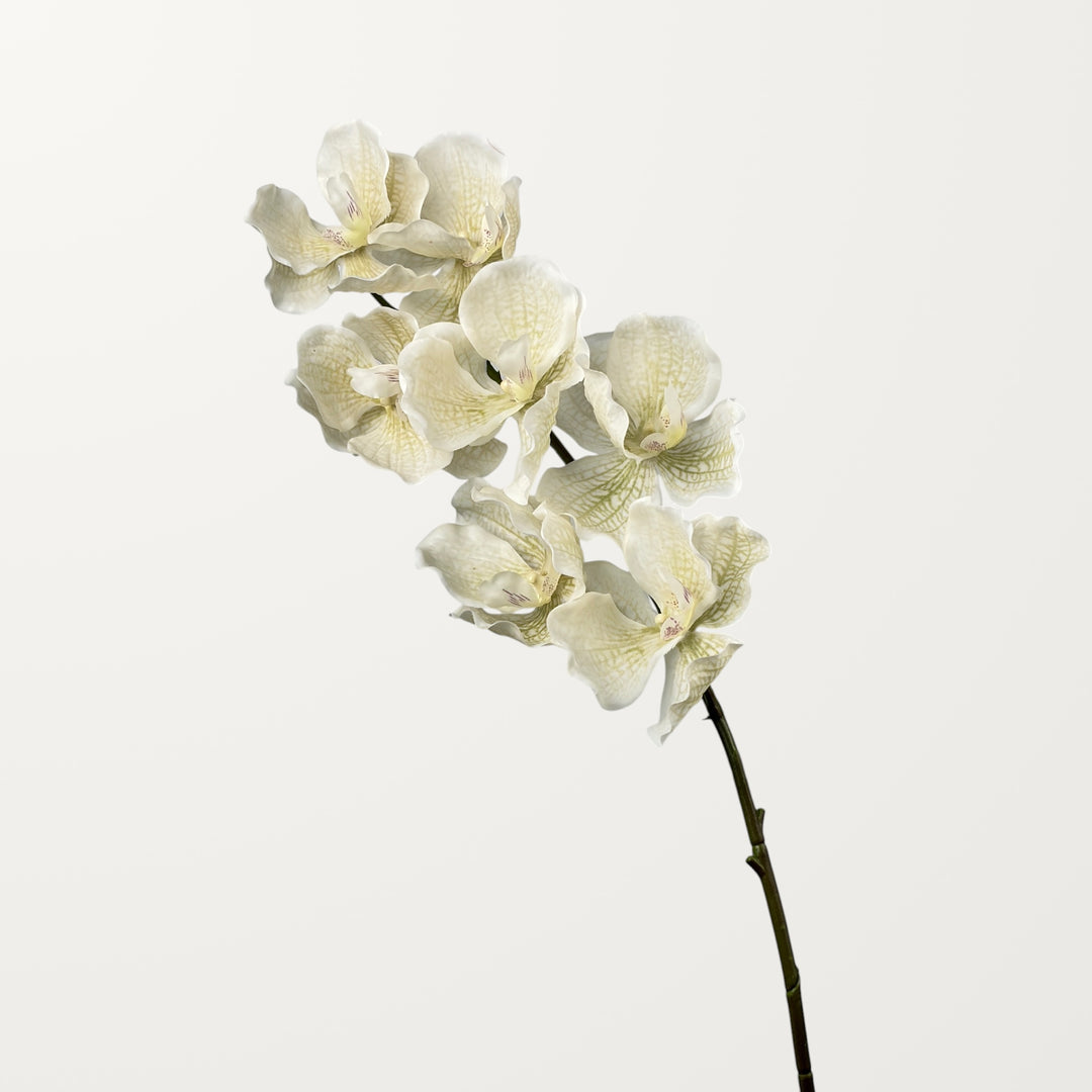 Vanda Orchid – White (Real Touch) - view 3