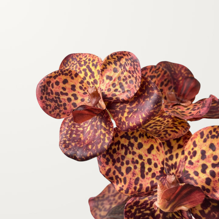 Vanda Orchid – Chestnut (Real Touch) - view 3