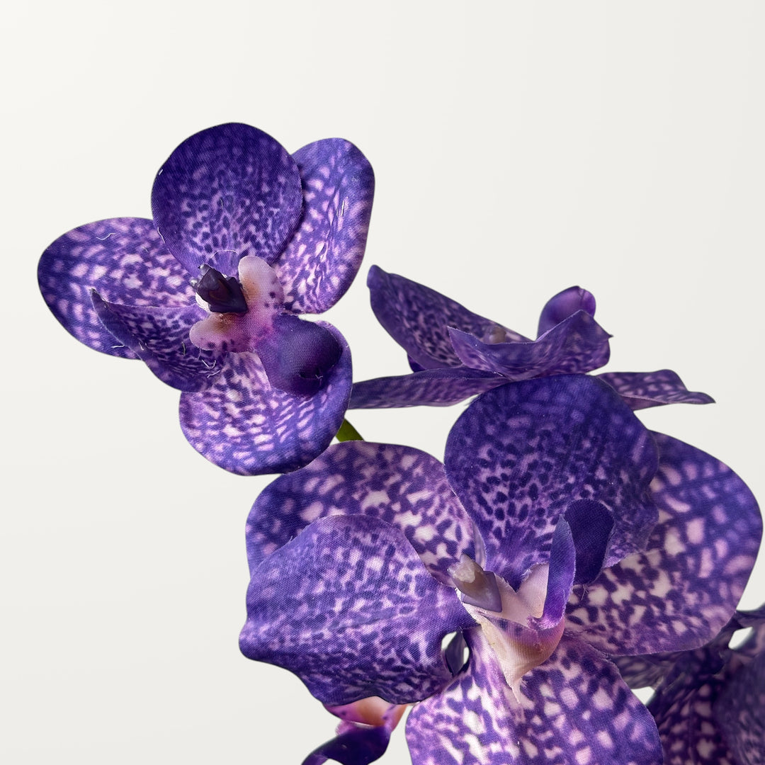 Vanda Orchid – Purple Blue (Real Touch) - view 3