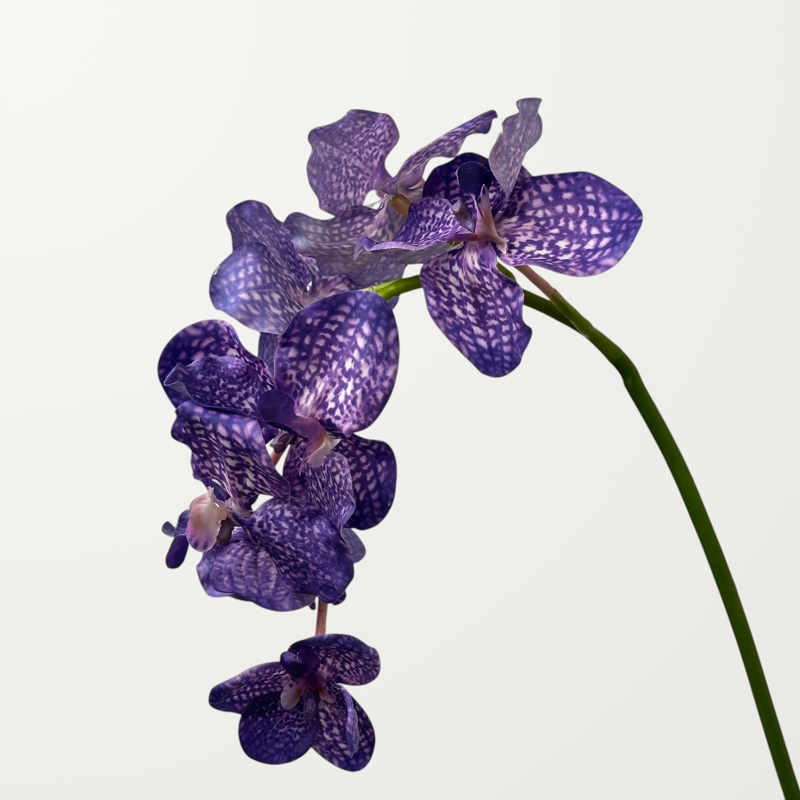 Vanda Orchid – Purple Blue (Real Touch) - view 2