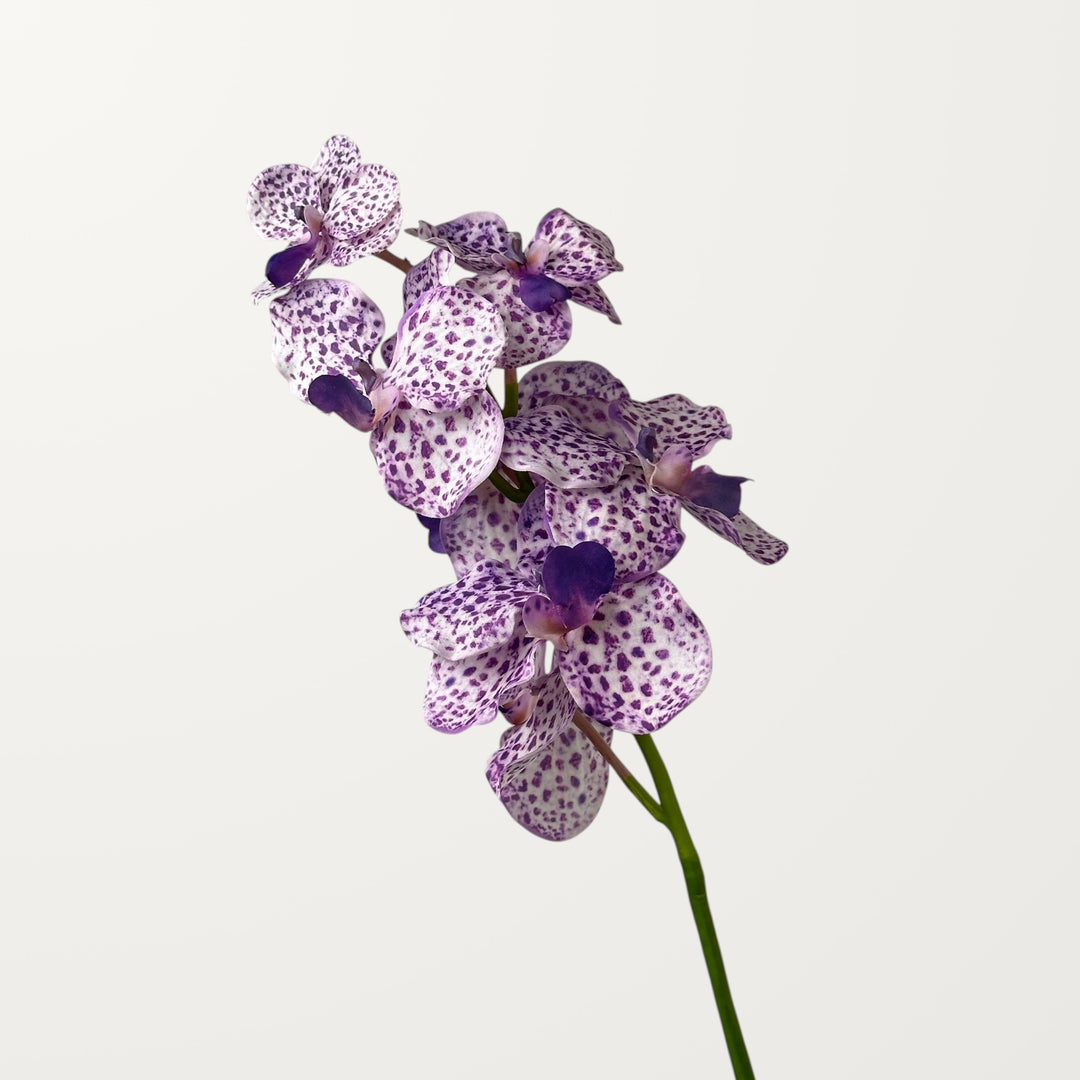 Vanda Orchid – Soft Purple (Real Touch)