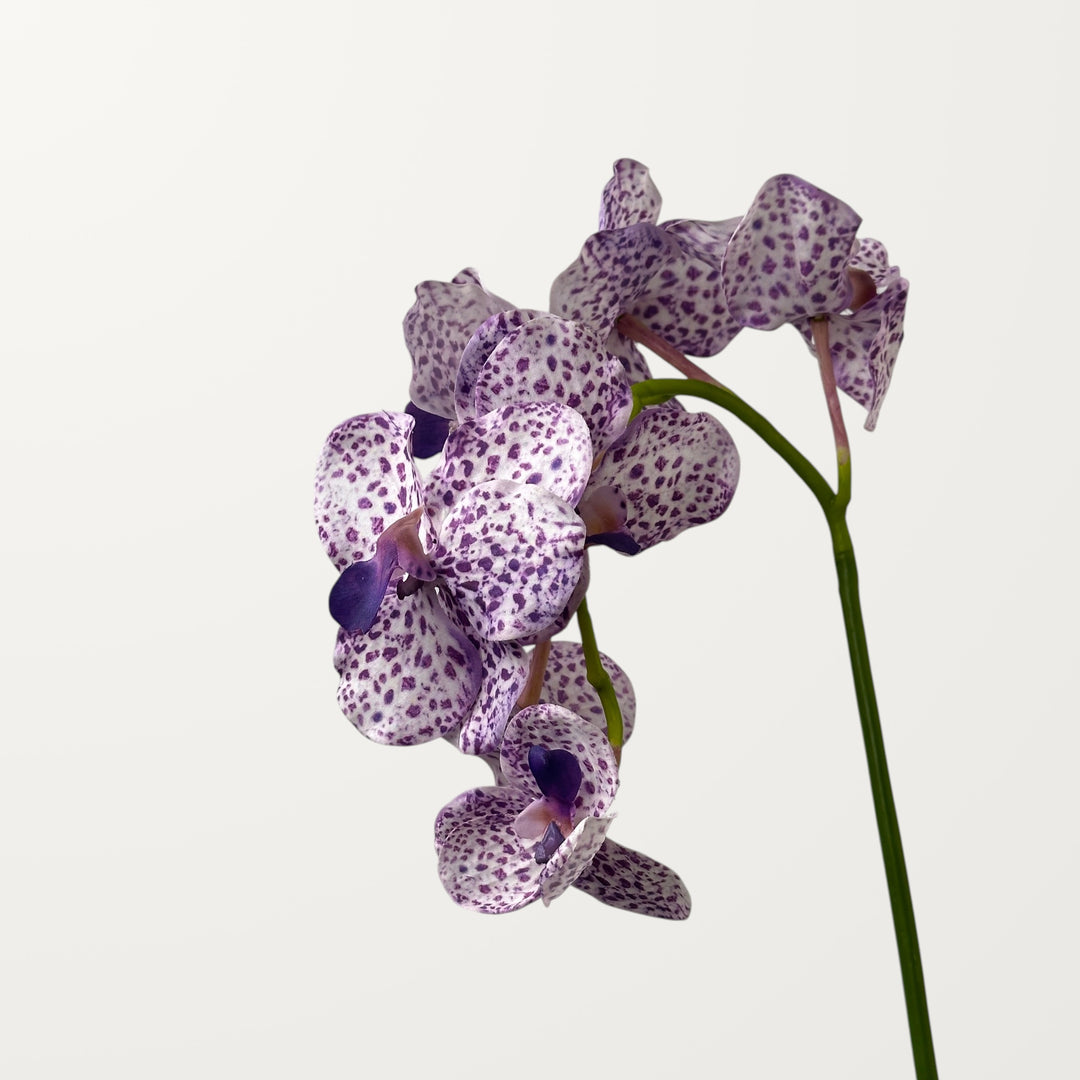 Vanda Orchid – Soft Purple (Real Touch) - view 2