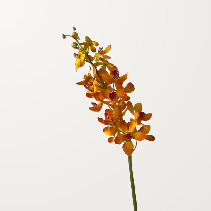 Mokara Orchid – Burnt Orange (Real Touch)