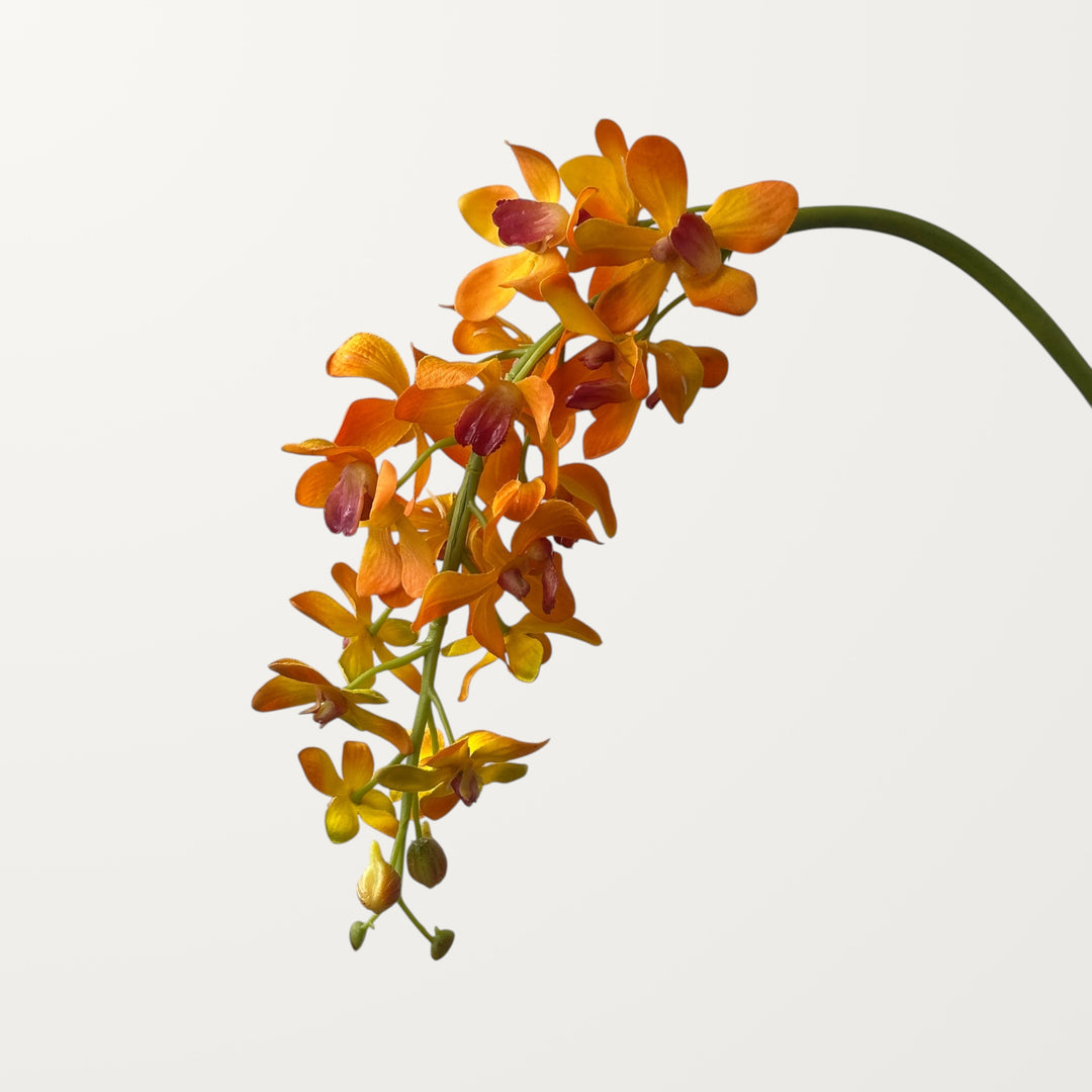 Mokara Orchid – Burnt Orange (Real Touch) - view 2