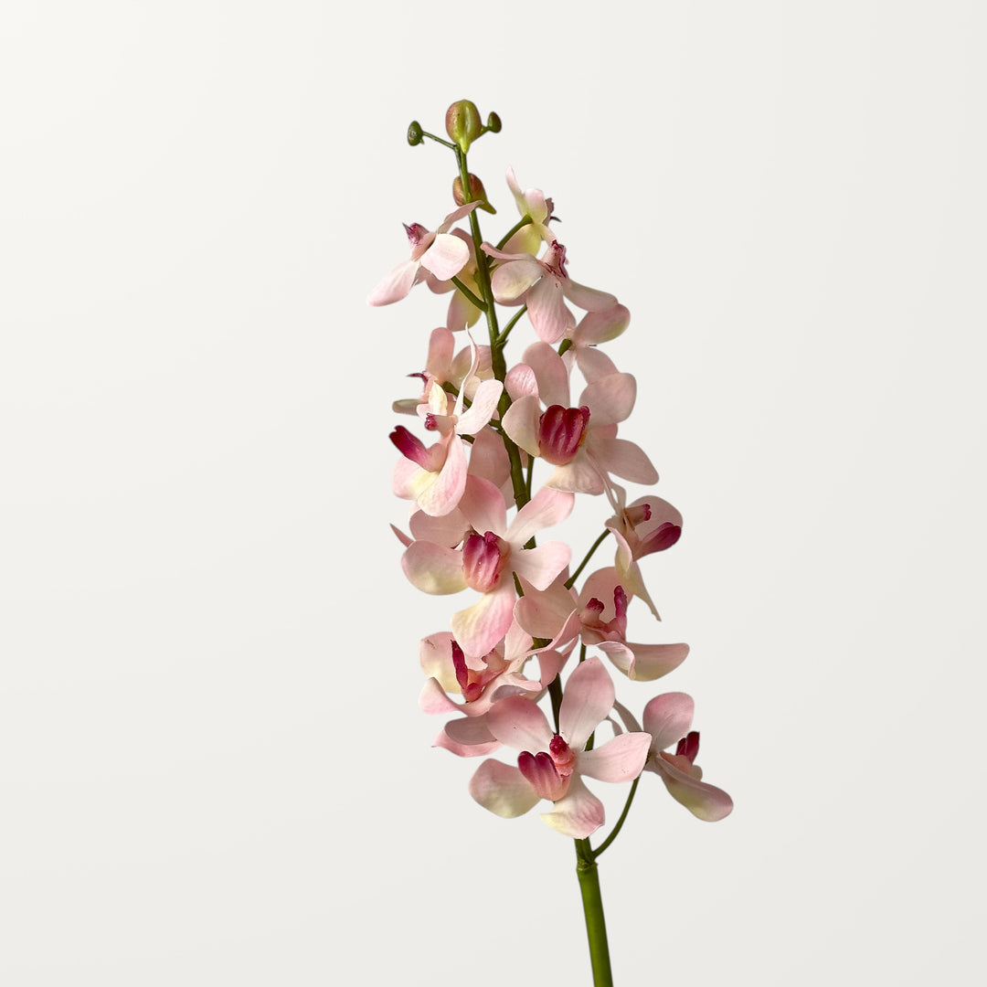 Mokara Orchid – Soft Pink (Real Touch)