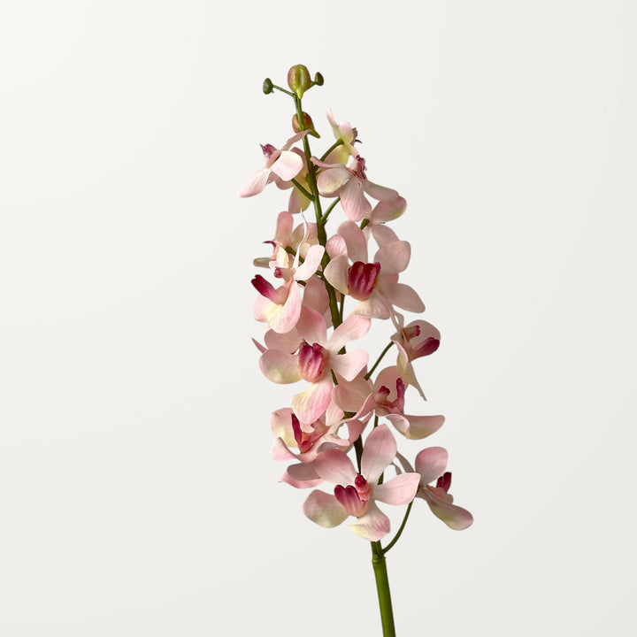Mokara Orchid – Soft Pink (Real Touch)