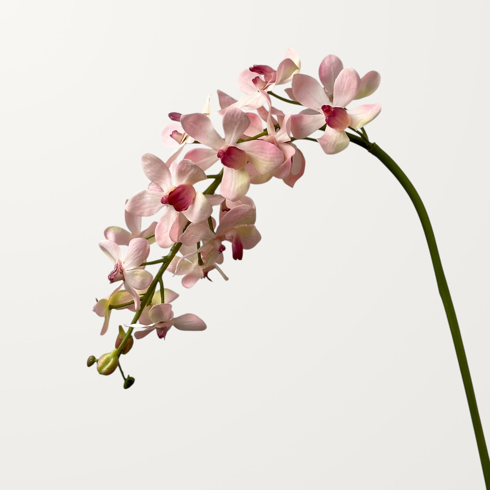 Mokara Orchid – Soft Pink (Real Touch) - view 2