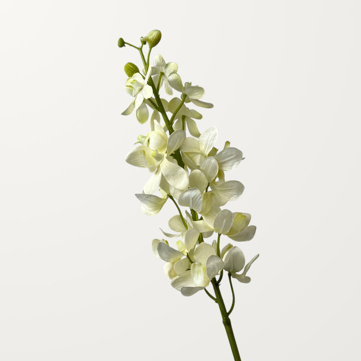 Mokara Orchid – White (Real Touch)
