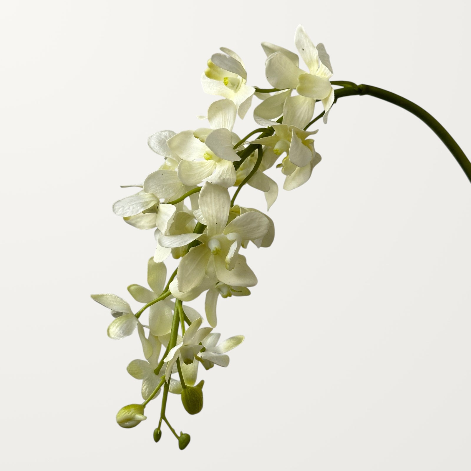 Mokara Orchid – White (Real Touch) - view 2