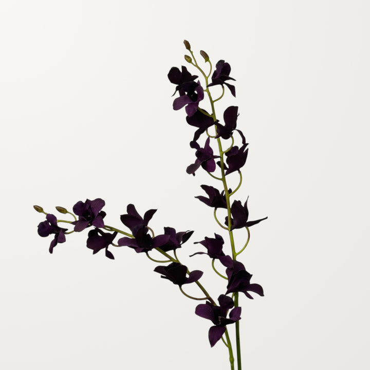 Dendrobium Orchid – Deep Purple (Real Touch) - view 2