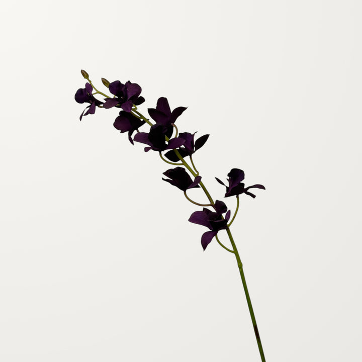 Dendrobium Orchid – Deep Purple (Real Touch)