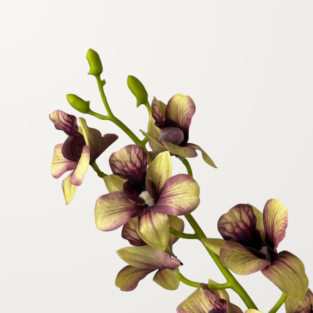 Dendrobium Orchid – Khaki Green (Real Touch) - view 3