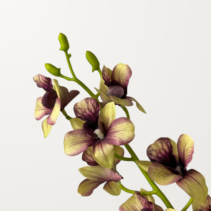 Dendrobium Orchid – Khaki Green (Real Touch) - view 3