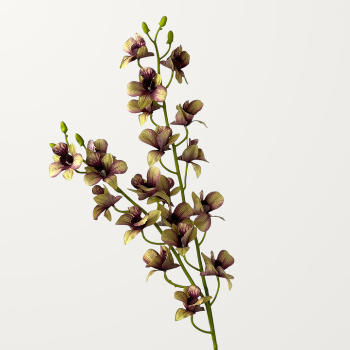 Dendrobium Orchid – Khaki Green (Real Touch) - view 2
