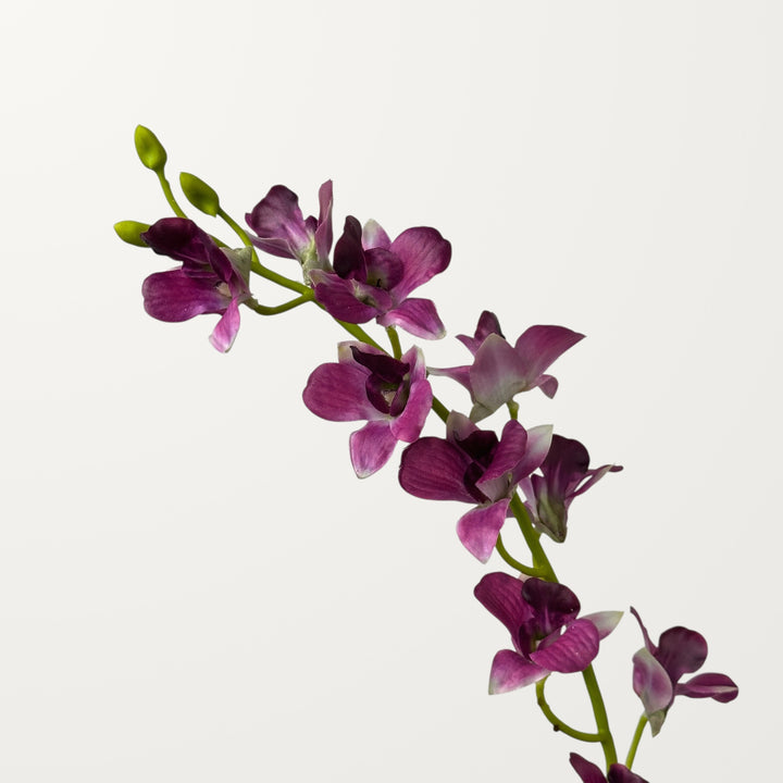 Dendrobium Orchid – Magenta (Real Touch) - view 3