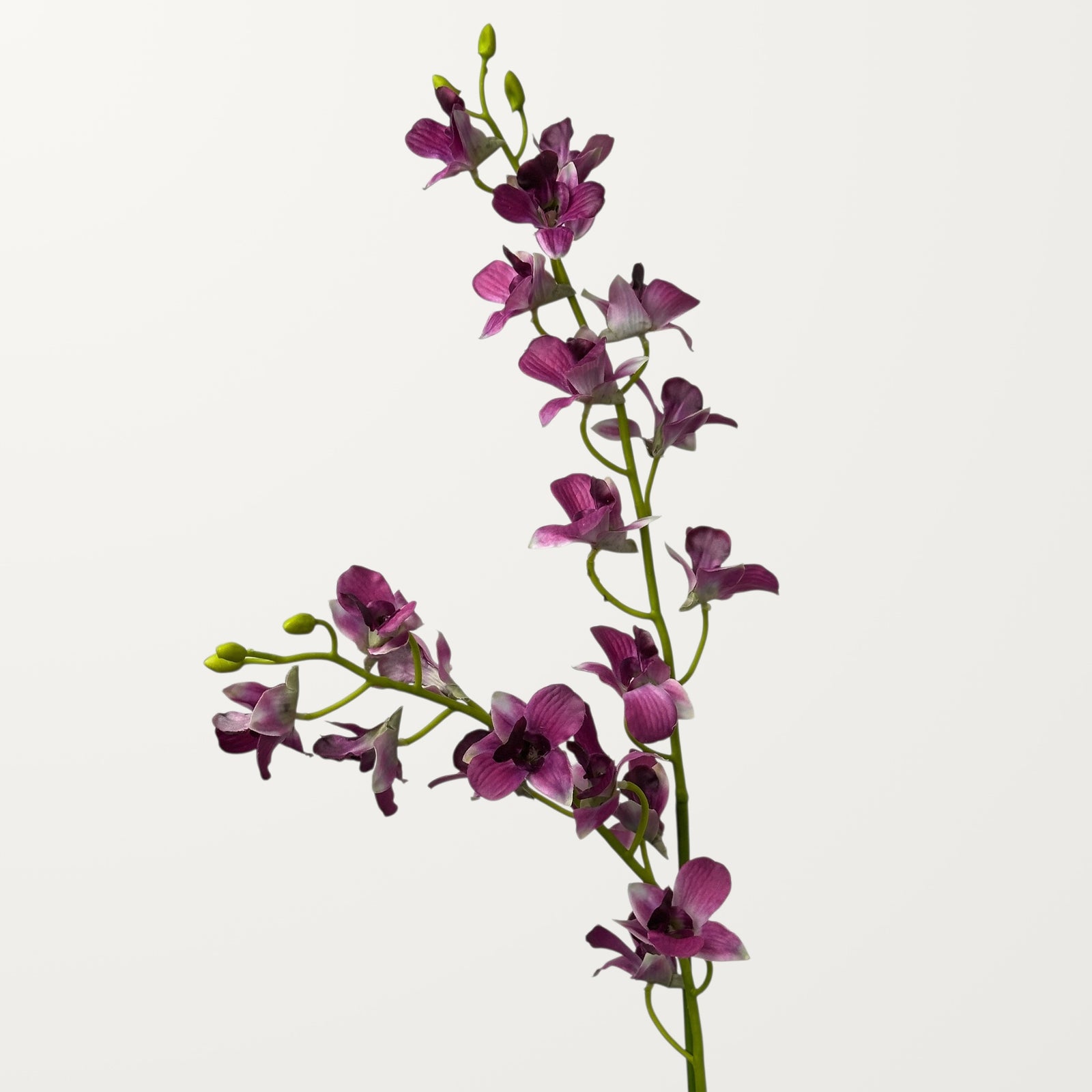 Dendrobium Orchid – Magenta (Real Touch) - view 2