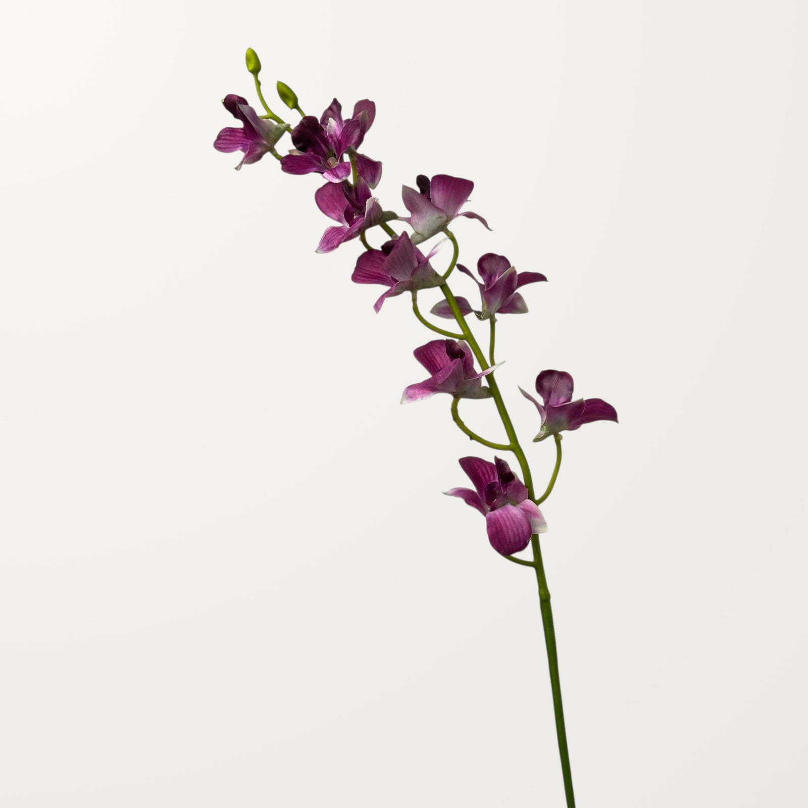 Dendrobium Orchid – Magenta (Real Touch)