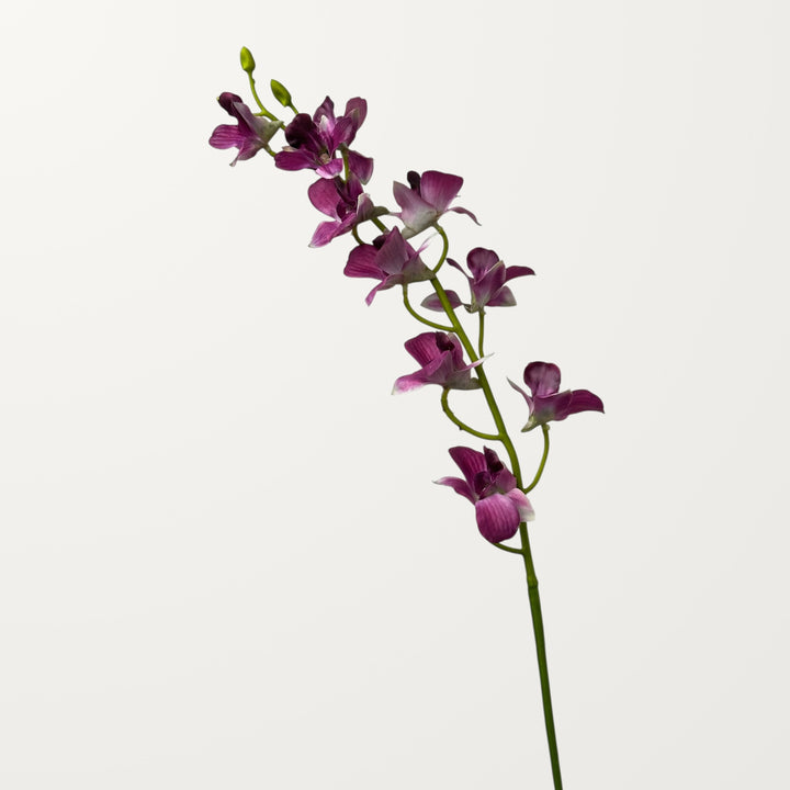 Dendrobium Orchid – Magenta (Real Touch)