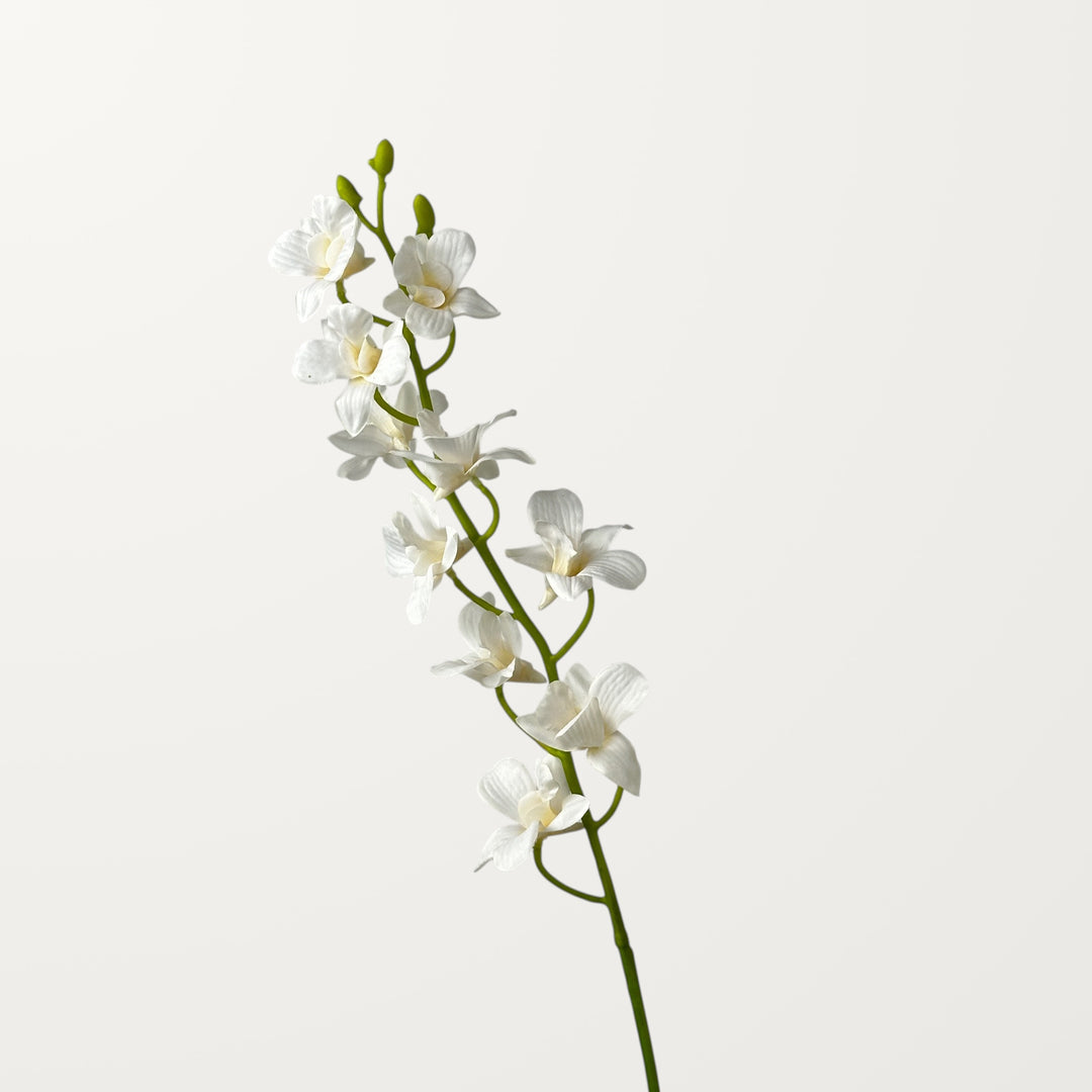 Dendrobium Orchid – White (Real Touch)