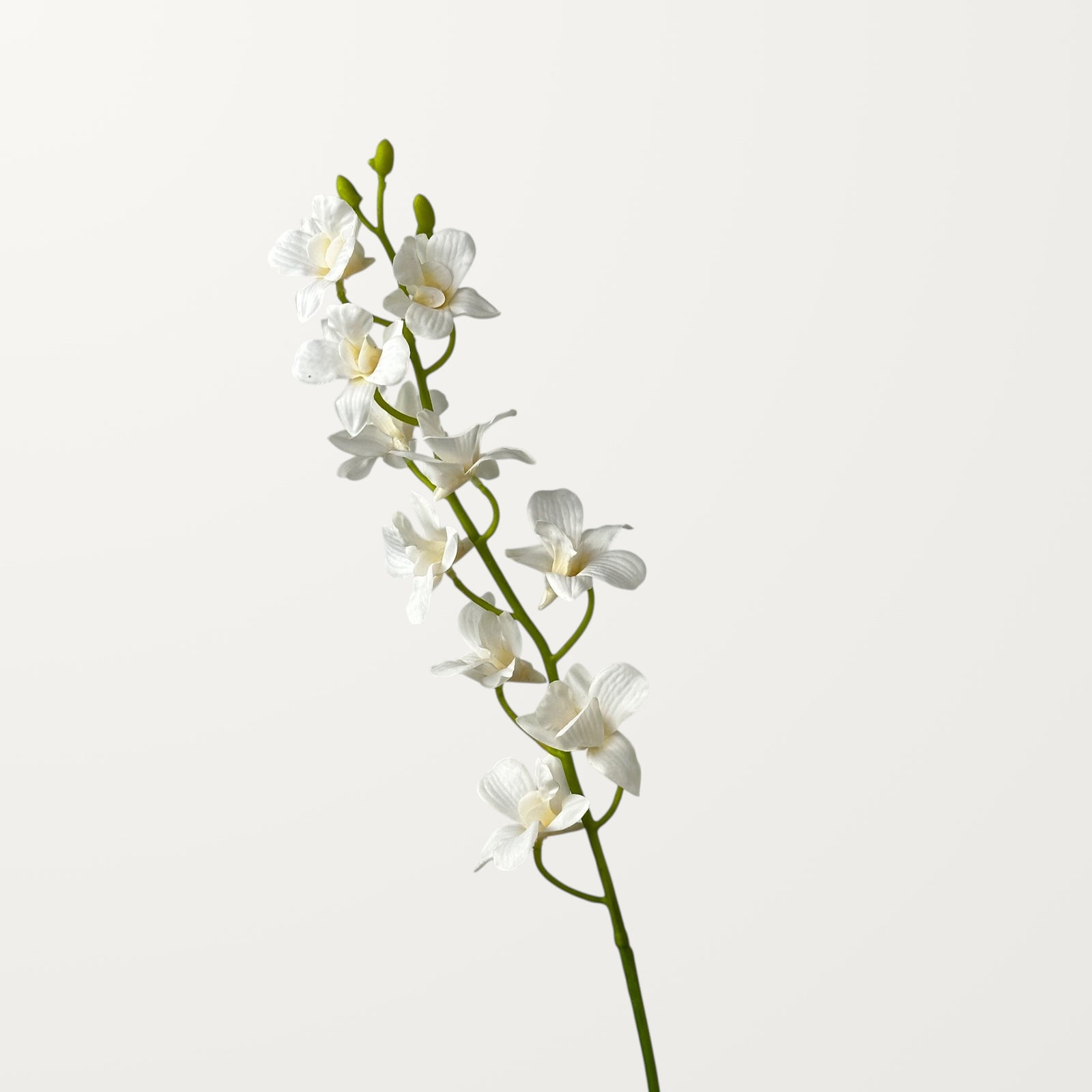 Dendrobium Orchid – White (Real Touch)