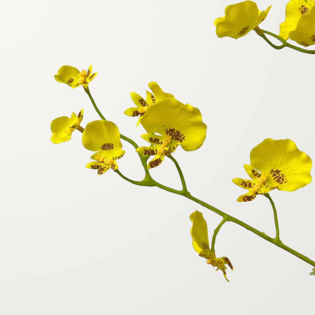 Oncidium Orchid – Yellow (Real Touch) - view 3