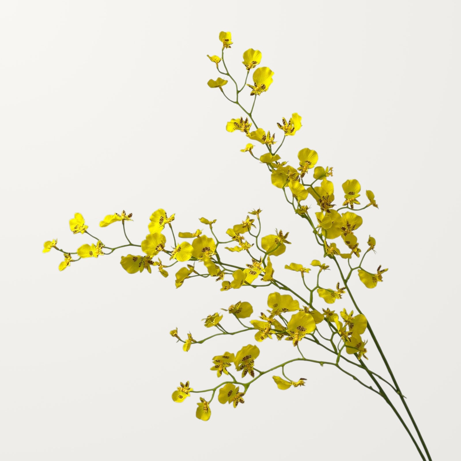 Oncidium Orchid – Yellow (Real Touch) - view 2
