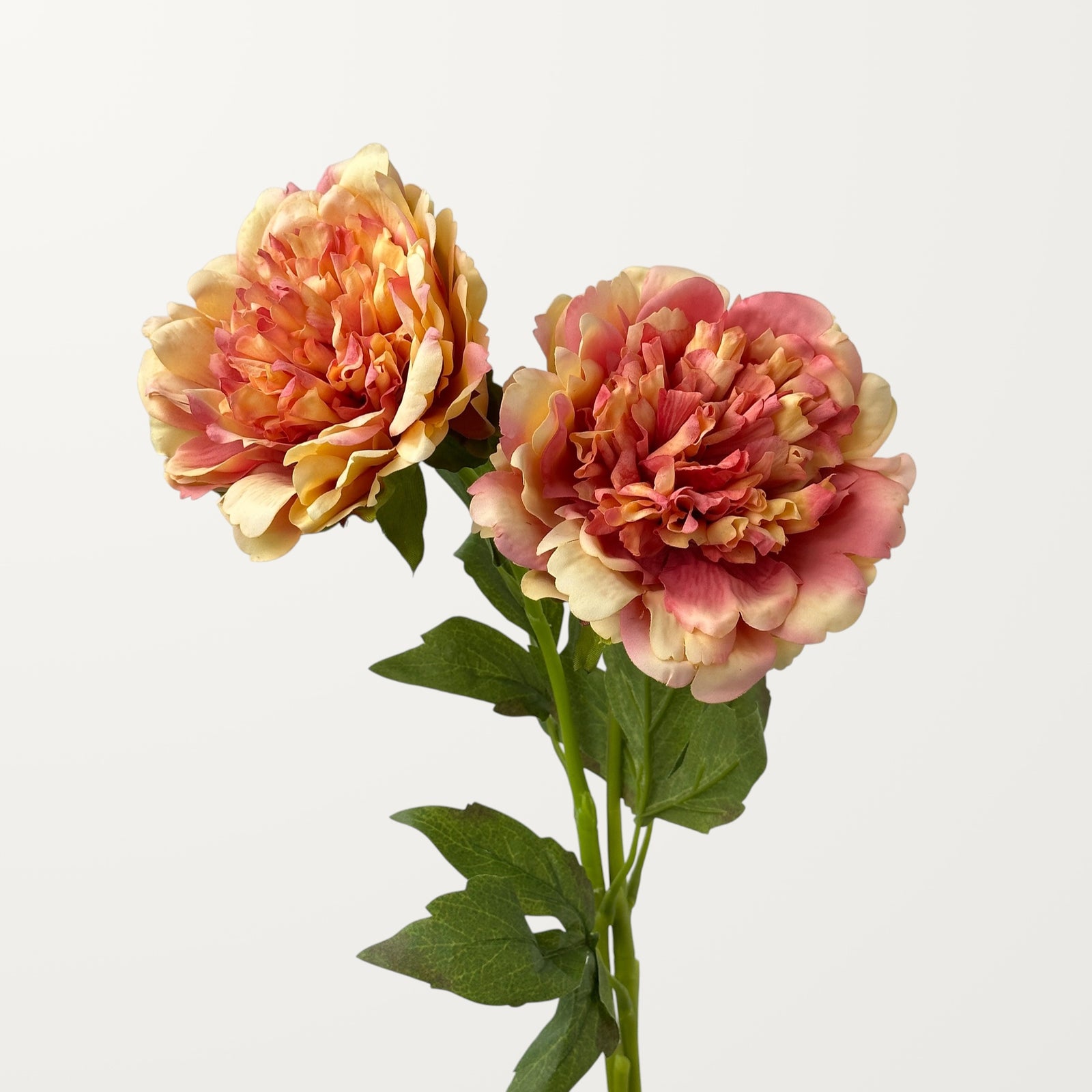Peony – Amber (Real Touch) - view 2